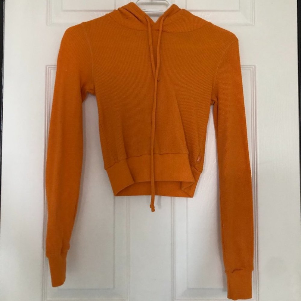Aritzia Hoodie